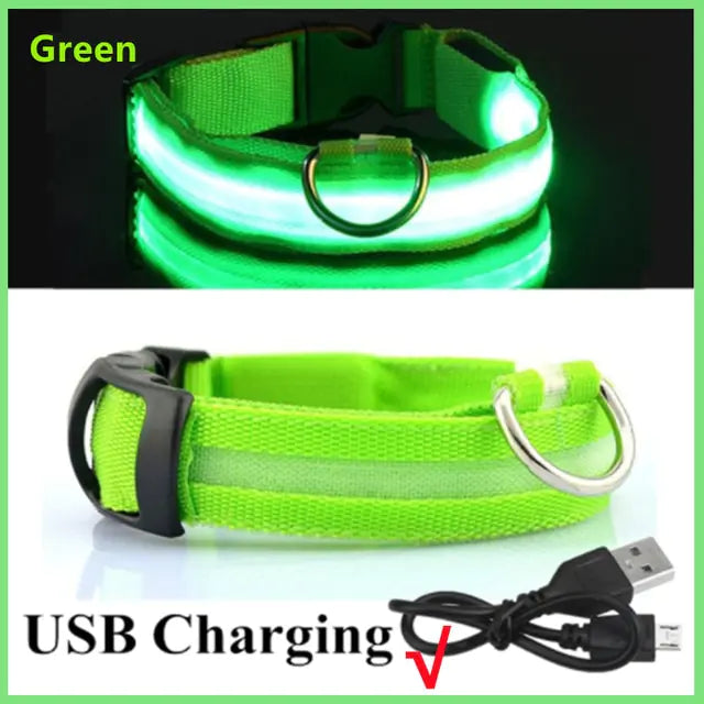 Glow Paws™ LED Dog Collar – USB Rechargeable & Adjustable for Nighttime Safety