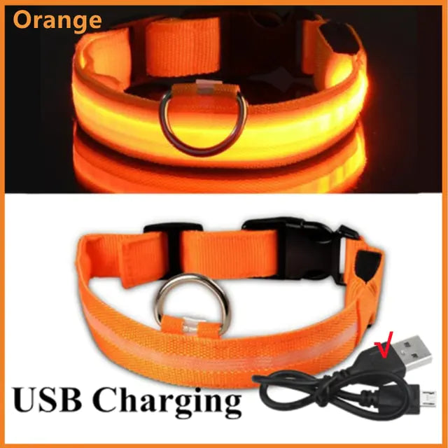 Glow Paws™ LED Dog Collar – USB Rechargeable & Adjustable for Nighttime Safety