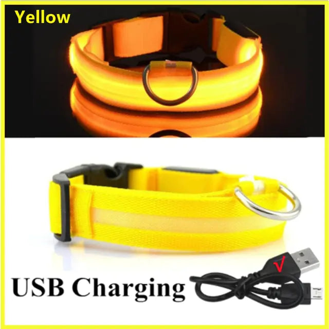 Glow Paws™ LED Dog Collar – USB Rechargeable & Adjustable for Nighttime Safety