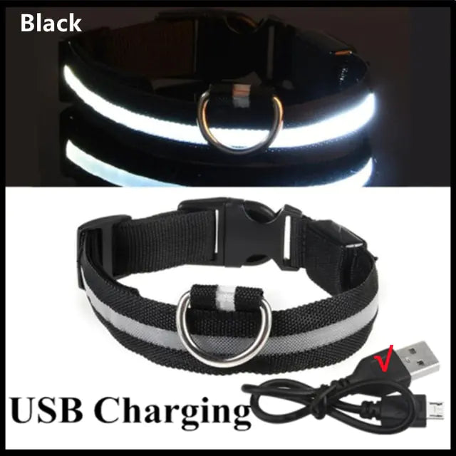 Glow Paws™ LED Dog Collar – USB Rechargeable & Adjustable for Nighttime Safety