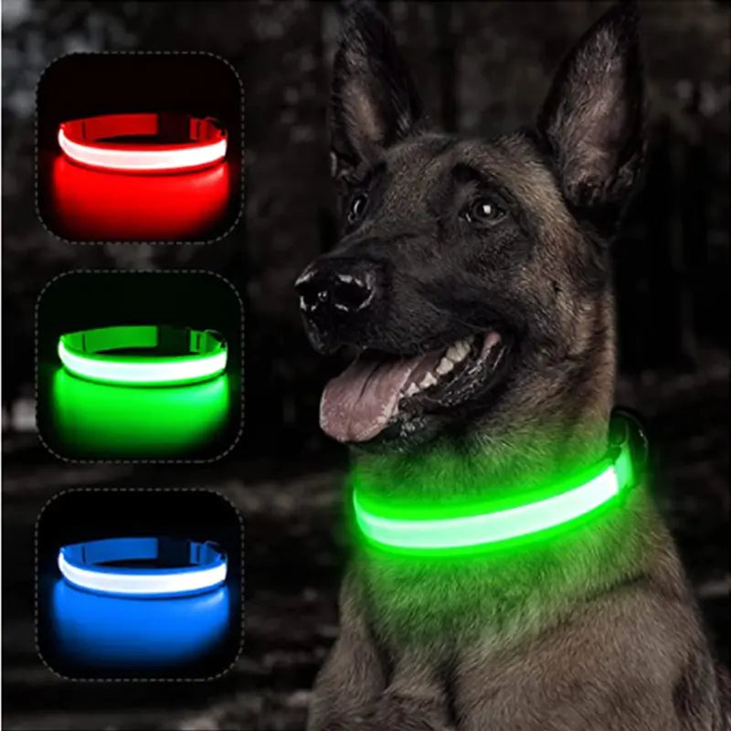 Glow Paws™ LED Dog Collar – USB Rechargeable & Adjustable for Nighttime Safety
