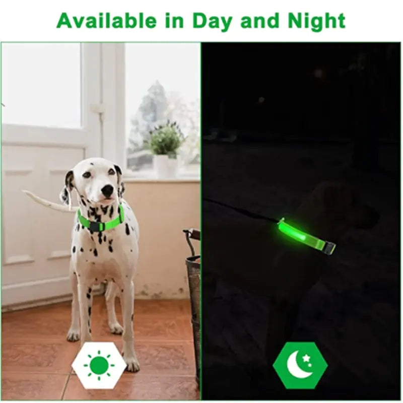Glow Paws™ LED Dog Collar – USB Rechargeable & Adjustable for Nighttime Safety