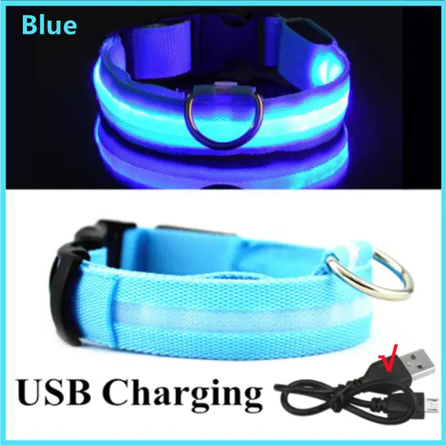 Glow Paws™ LED Dog Collar – USB Rechargeable & Adjustable for Nighttime Safety
