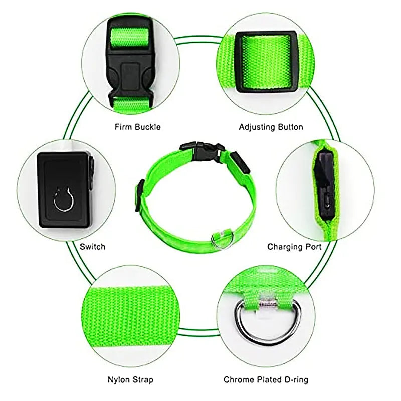 Glow Paws™ LED Dog Collar – USB Rechargeable & Adjustable for Nighttime Safety
