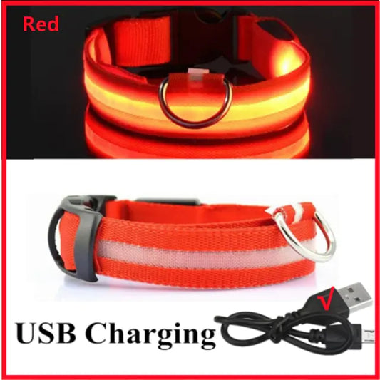 Glow Paws™ LED Dog Collar – USB Rechargeable & Adjustable for Nighttime Safety