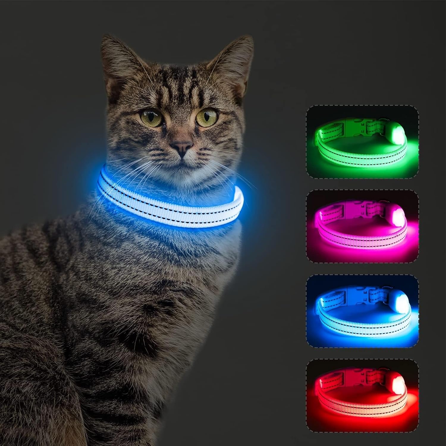 Light up Dog Collar - Rechargeable Puppy Collar Glow in the Dark LED Dog Collar Lights for Small Dogs & Cats (X-Small, Blue)