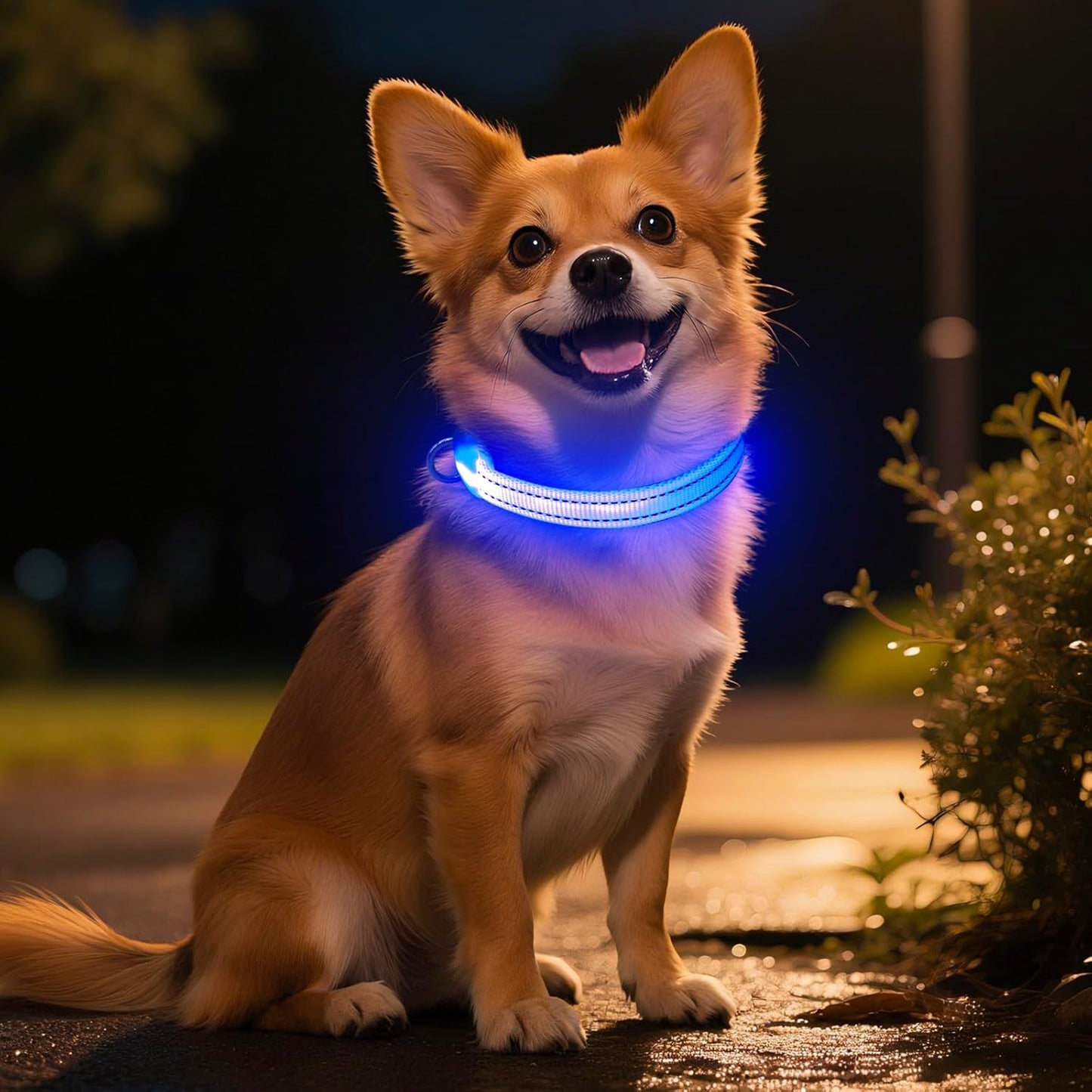 Light up Dog Collar - Rechargeable Puppy Collar Glow in the Dark LED Dog Collar Lights for Small Dogs & Cats (X-Small, Blue)