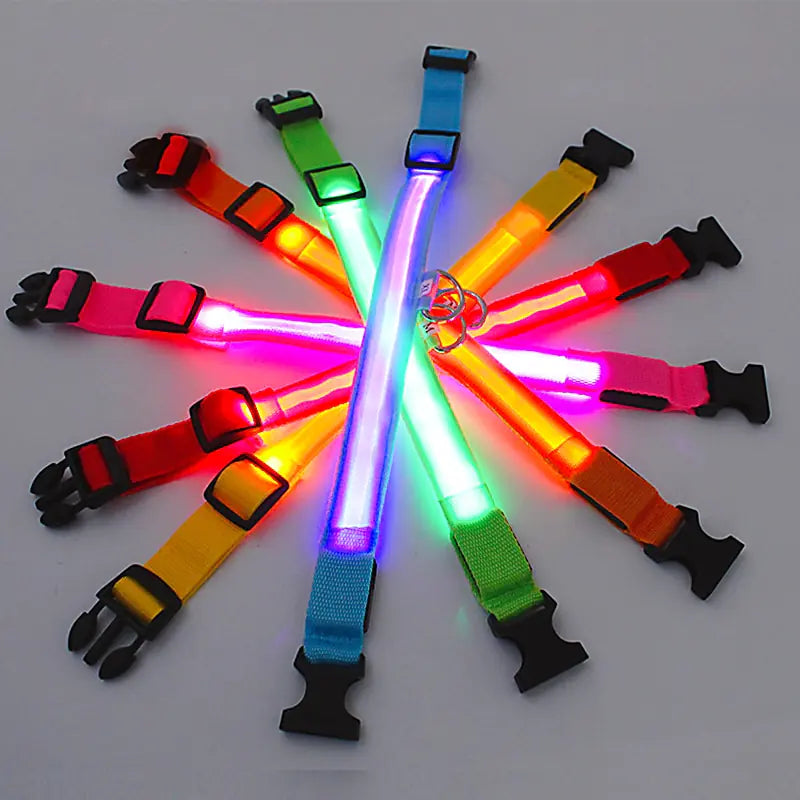 Glow Paws™ LED Dog Collar – USB Rechargeable & Adjustable for Nighttime Safety