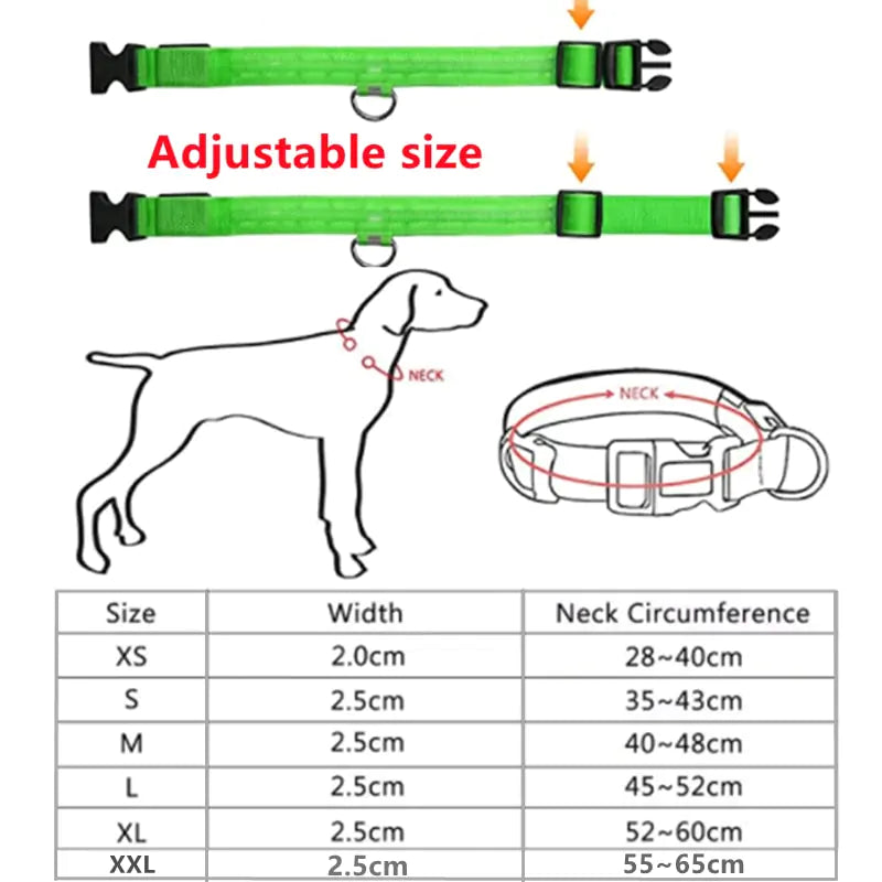 Glow Paws™ LED Dog Collar – USB Rechargeable & Adjustable for Nighttime Safety